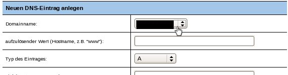 Datei:domain_waehlen.jpg